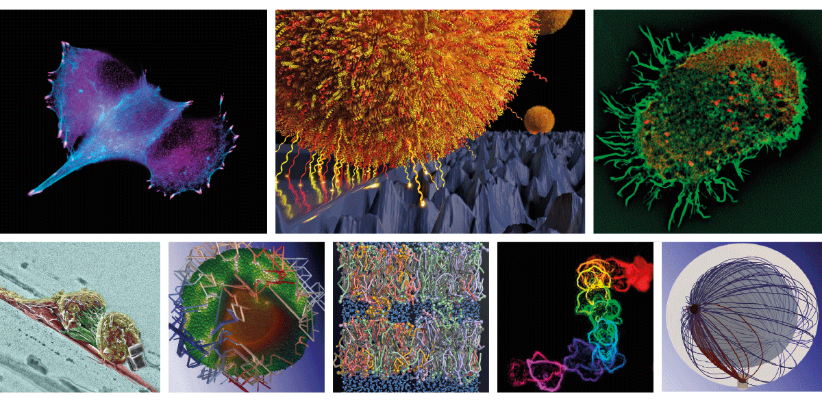 SFB 1027 research collage